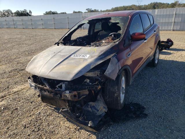 Photo 2 from auction – 2014 FORD ESCAPE SE with VIN 1FMCU0GX2EUC03049