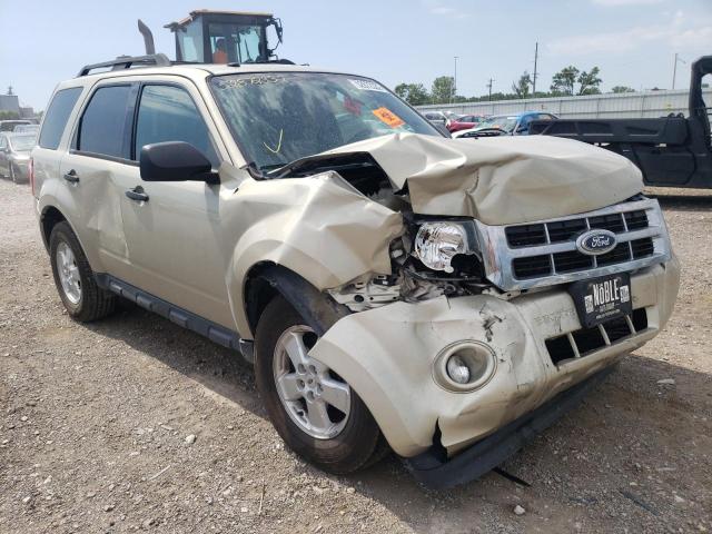 FORD ESCAPE XLT 2010 with VIN 1FMCU0DG2AKB94069 - Photo from auction