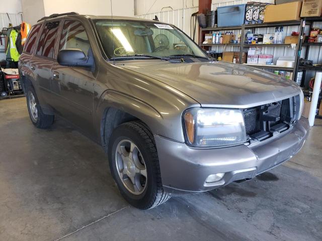 CHEVROLET TRAILBLAZE 2008 with VIN 1GNDT13S282236281 - Photo from auction