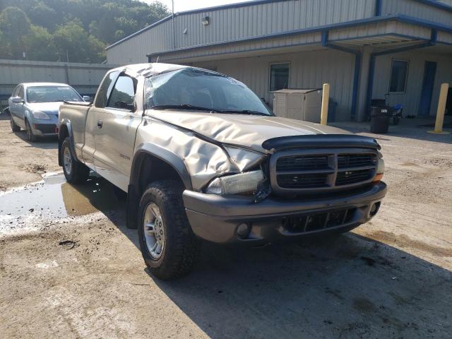 DODGE DAKOTA BAS 2002 with VIN 1B7GG12X92S665111 - Photo from auction