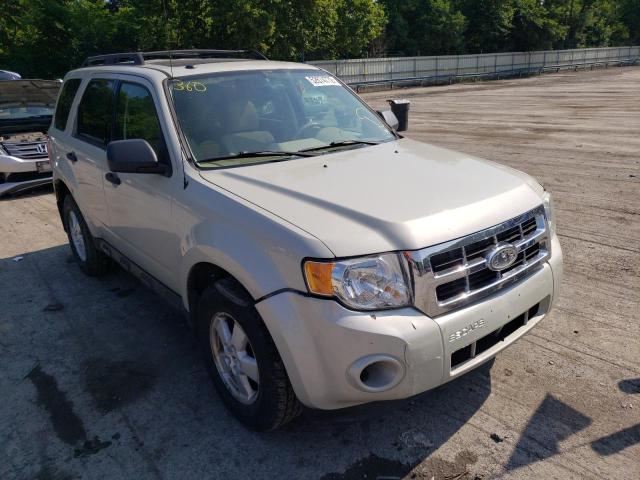 Photo 1 from auction – 2009 FORD ESCAPE XLT with VIN 1FMCU937X9KA13754