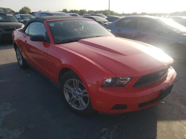 Photo 1 from auction – 2011 FORD MUSTANG with VIN 1ZVBP8EM6B5129328