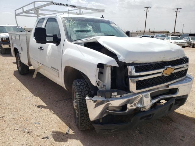 CHEVROLET SILVERADO 2013 with VIN 1GC2CXCG0DZ335407 - Photo from auction