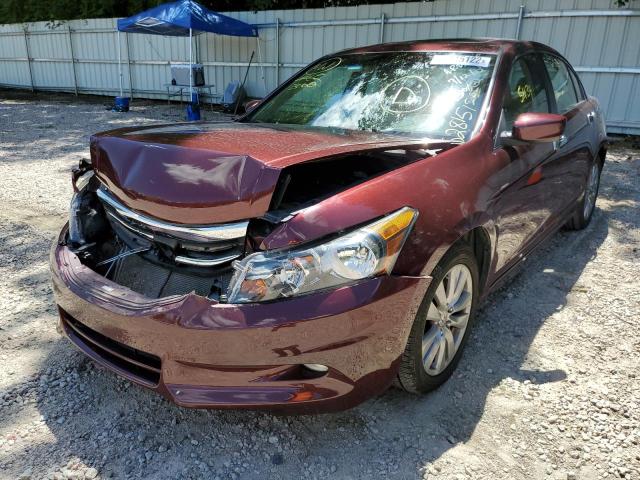 Photo 2 from auction – 2011 HONDA ACCORD EXL with VIN 1HGCP3F8XBA028653