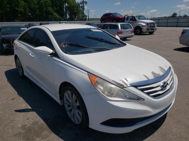 HYUNDAI SONATA GLS 2014 with VIN 5NPEB4AC4EH858968 - Photo from auction