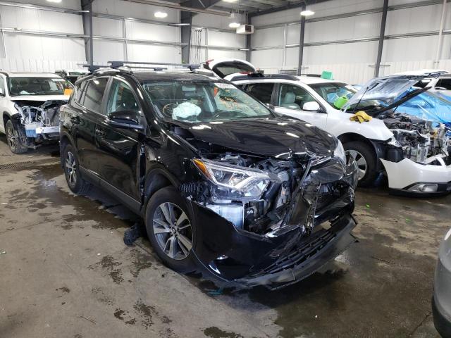 TOYOTA RAV4 XLE 2016 with VIN 2T3RFREV2GW496245 - Photo from auction