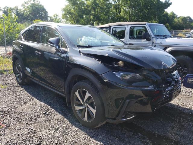 LEXUS NX 300 BAS 2019 with VIN JTJBARBZ5K2200348 - Photo from auction