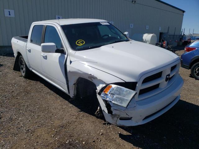DODGE RAM 1500 2010 with VIN 1D7RV1CT3AS169431 - Photo from auction