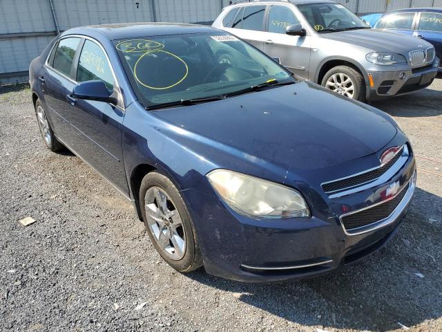 CHEVROLET MALIBU 2010 with VIN 1G1ZC5EB0AF258127 - Photo from auction