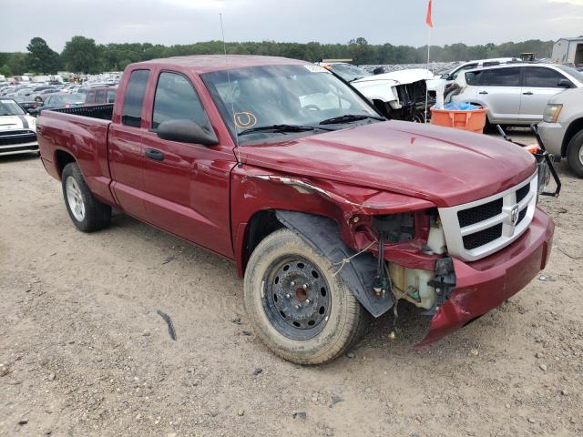 DODGE DAKOTA SLT 2011 with VIN 1D7RE3BK4BS564207 - Photo from auction