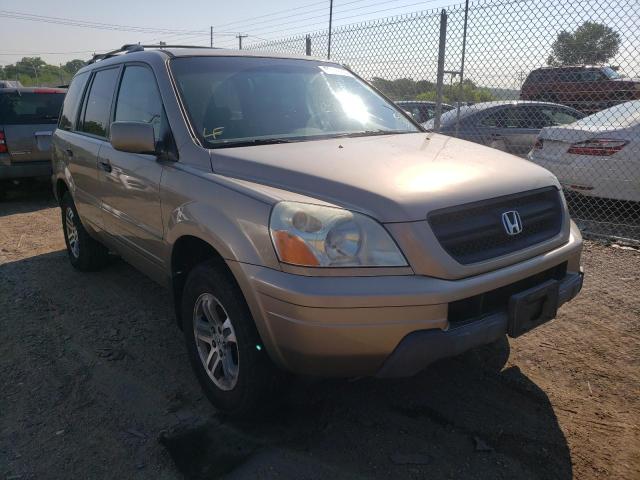 HONDA PILOT EX 2004 z numerem VIN 2HKYF18454H609558 - Zdjęcie z aukcji