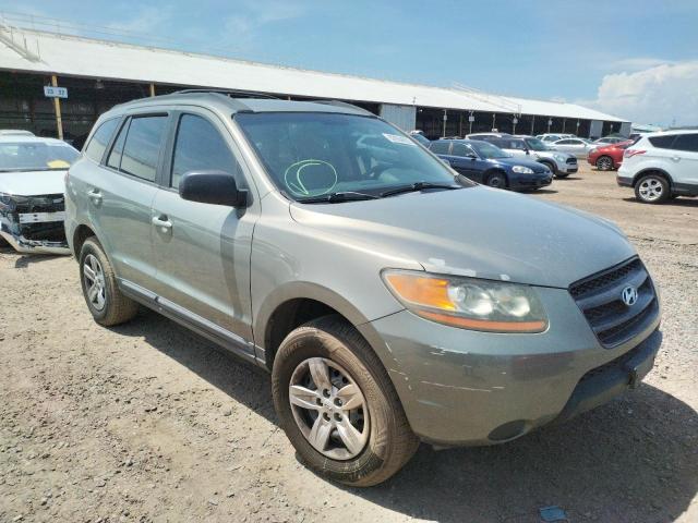 HYUNDAI SANTA FE G 2009 with VIN 5NMSG13D69H239509 - Photo from auction