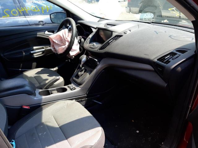 Photo 5 from auction – 2014 FORD ESCAPE SE with VIN 1FMCU0GXXEUD64863