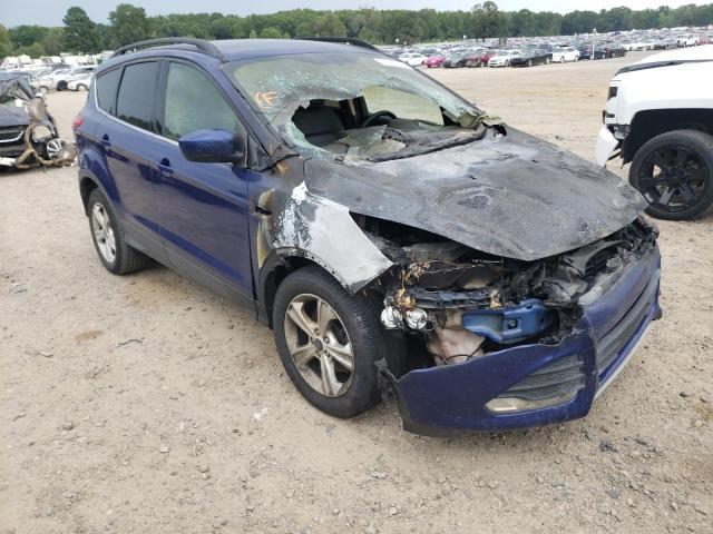FORD ESCAPE SE 2014 with VIN 1FMCU0GX5EUD18583 - Photo from auction
