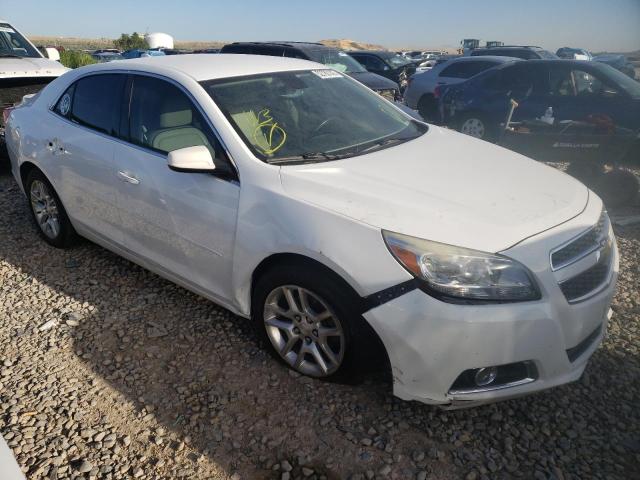 CHEVROLET MALIBU 2LT 2013 with VIN 1G11F5SR5DF151424 - Photo from auction