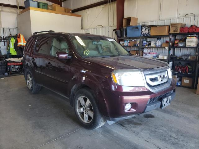 HONDA PILOT EXL 2009 with VIN 5FNYF48519B028042 - Photo from auction