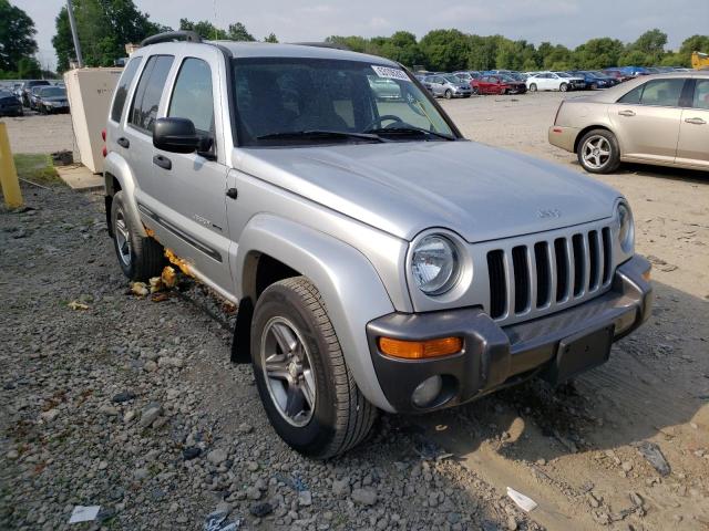 JEEP LIBERTY SP 2004 with VIN 1J4GL48K34W278262 - Photo from auction