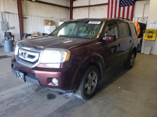 Photo 2 from auction – 2009 HONDA PILOT EXL with VIN 5FNYF48519B028042
