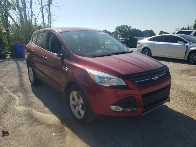 FORD ESCAPE SE 2014 with VIN 1FMCU0GX7EUA62737 - Photo from auction
