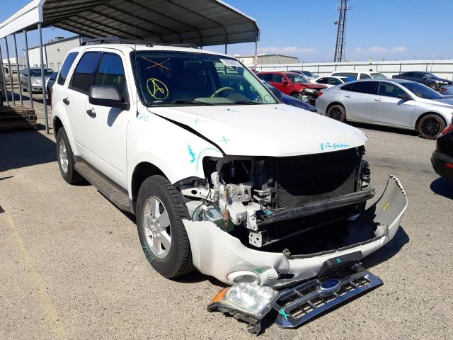 FORD ESCAPE XLT 2010 with VIN 1FMCU0D70AKD46608 - Photo from auction