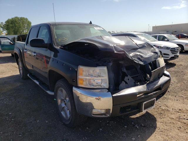 CHEVROLET 1500 2009 with VIN 3GCEK33339G260554 - Photo from auction