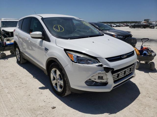 FORD ESCAPE SE 2014 with VIN 1FMCU0G95EUD31190 - Photo from auction