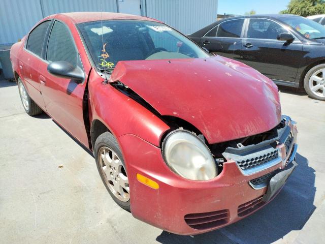 DODGE NEON SXT 2004 with VIN 1B3ES56CX4D567377 - Photo from auction