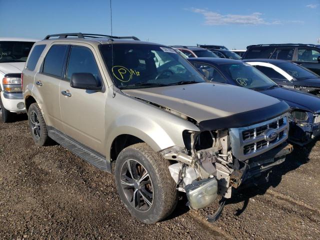 FORD ESCAPE XLT 2012 with VIN 1FMCU0DG1CKC11785 - Photo from auction