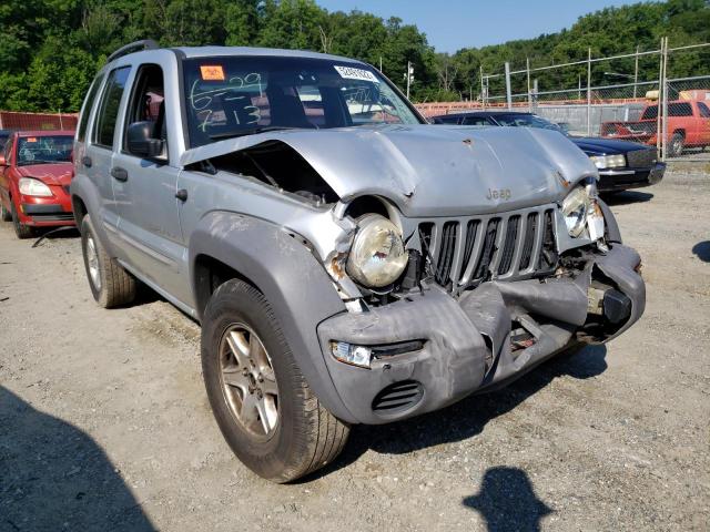 JEEP LIBERTY SP 2002 with VIN 1J4GL48K62W138610 - Photo from auction