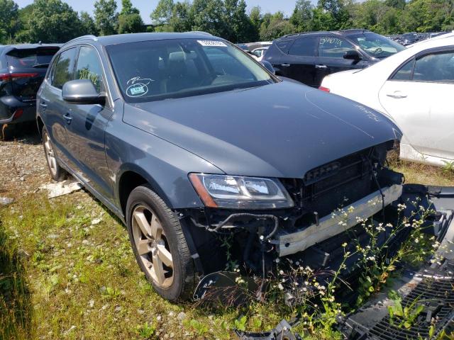 AUDI Q5 PREMIUM 2010 with VIN WA1CKAFP2AA067447 - Photo from auction