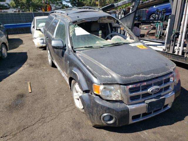 FORD ESCAPE HEV 2008 with VIN 1FMCU59H88KA24713 - Photo from auction