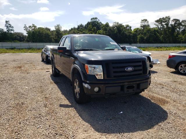 FORD F-150 2010 with VIN 1FTFX1EV4AKE16381 - Photo from auction
