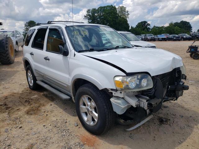 FORD ESCAPE XLT 2007 with VIN 1FMYU03147KB34760 - Photo from auction