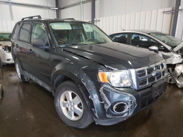 FORD ESCAPE XLT 2009 with VIN 1FMCU03G29KA92977 - Photo from auction
