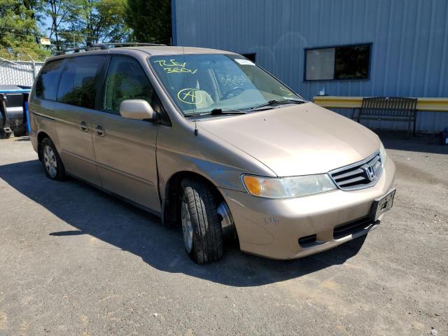 HONDA ODYSSEY EX 2004 with VIN 5FNRL18624B073956 - Photo from auction
