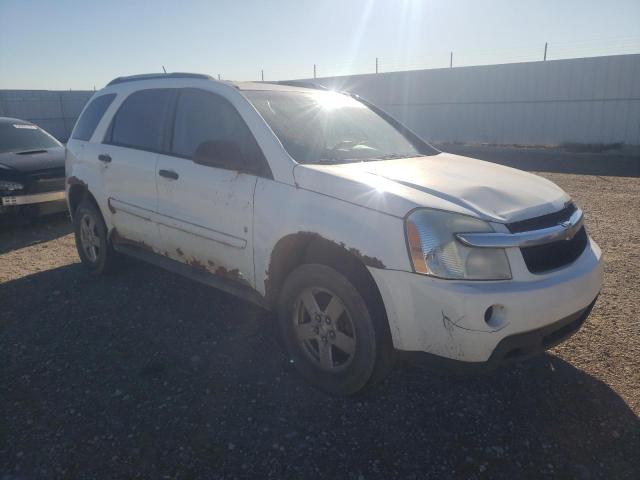 CHEVROLET EQUINOX LS 2007 with VIN 2CNDL23F976057427 - Photo from auction