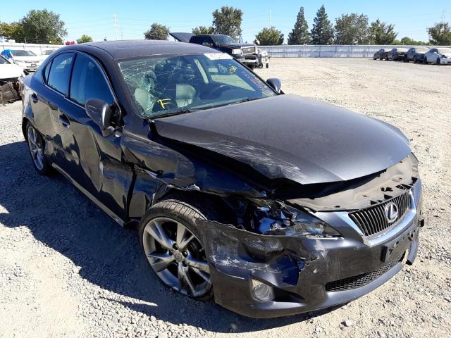 LEXUS IS 250 2009 with VIN JTHBK262495103427 - Photo from auction