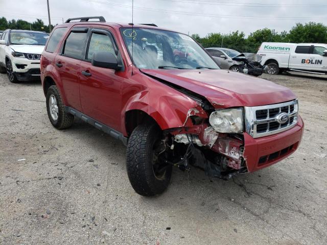FORD ESCAPE XLT 2010 with VIN 1FMCU0DG9AKB31146 - Photo from auction