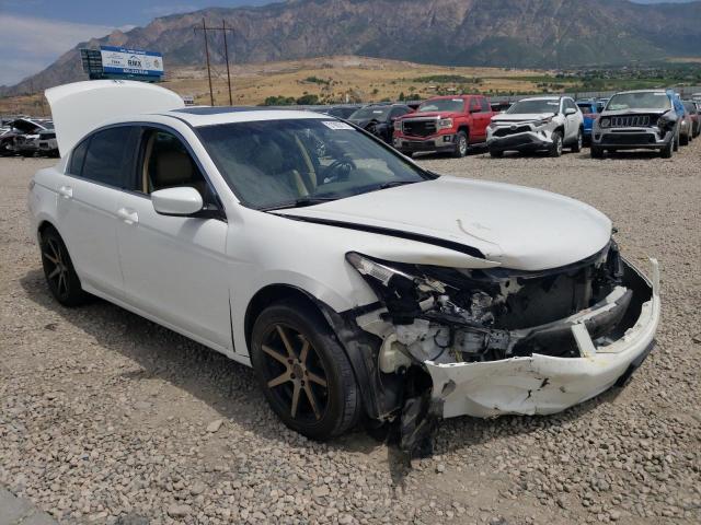 HONDA ACCORD EXL 2010 with VIN 1HGCP2F88AA080632 - Photo from auction