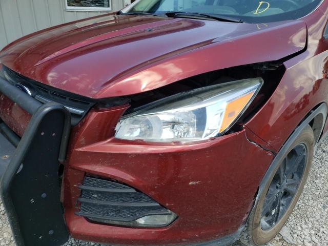 Photo 9 from auction – 2014 FORD ESCAPE SE with VIN 1FMCU0GX6EUA76418