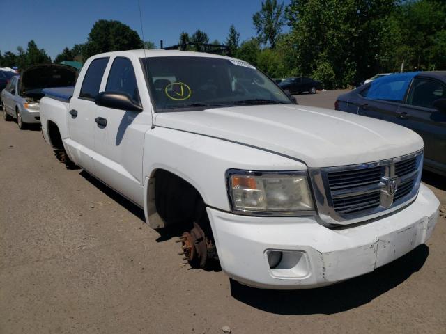 DODGE DAKOTA QUA 2008 with VIN 1D7HW48N58S507698 - Photo from auction