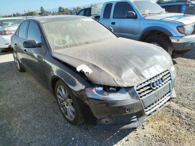 AUDI A4 PREMIUM 2010 with VIN WAUBFAFL1AN025084 - Photo from auction