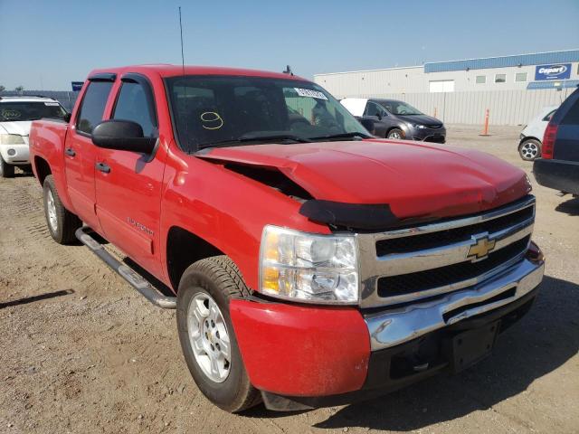 CHEVROLET SILVERADO 2009 with VIN 3GCEK23M09G288962 - Photo from auction