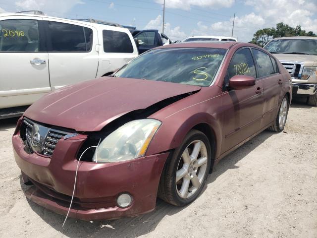 Photo 2 from auction – 2004 NISSAN MAXIMA SE with VIN 1N4BA41E24C867725