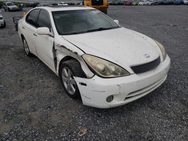 LEXUS ES 330 2005 with VIN JTHBA30G455112426 - Photo from auction