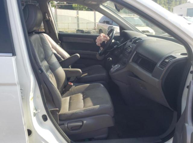 Photo 5 from auction – 2007 HONDA CR-V EXL with VIN JHLRE48797C088656