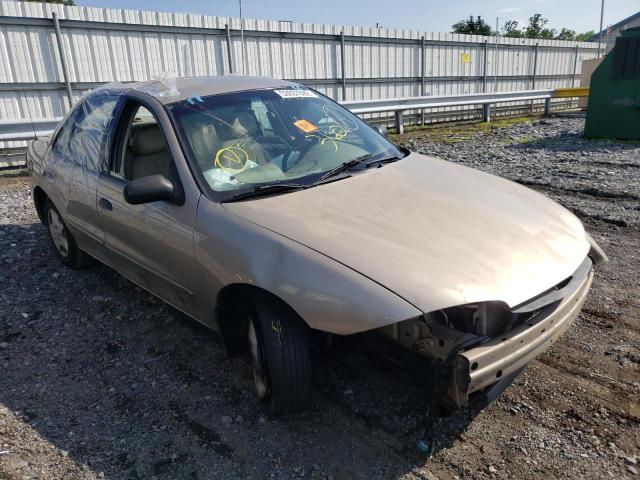 CHEVROLET CAVALIER 2005 with VIN 1G1JC52F557145505 - Photo from auction