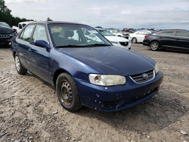 TOYOTA COROLLA CE 2001 with VIN 2T1BR12E61C444097 - Photo from auction