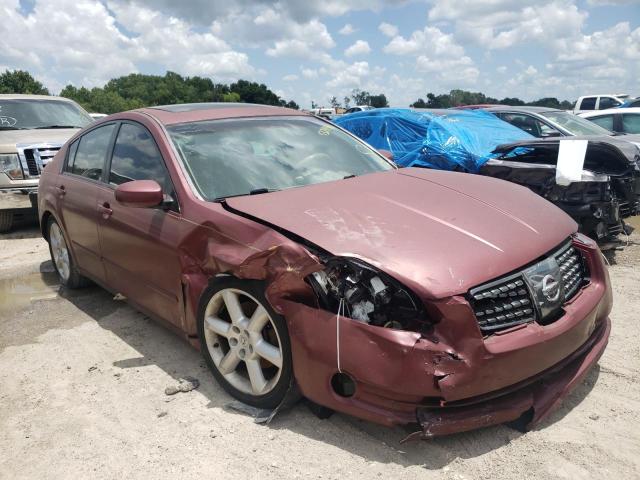 NISSAN MAXIMA SE 2004 with VIN 1N4BA41E24C867725 - Photo from auction