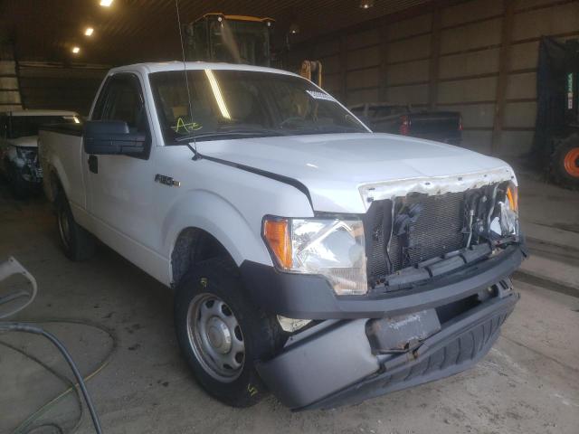 FORD F150 2013 with VIN 1FTMF1CM2DFE09236 - Photo from auction